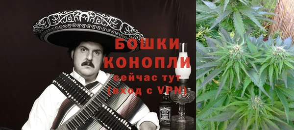 сатива Абинск