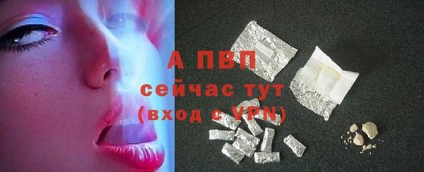 сатива Абинск