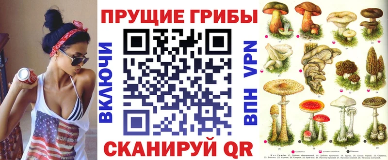 Галлюциногенные грибы Psilocybe  Кингисепп 